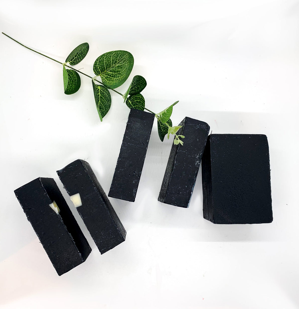 Charcoal Aloe - Basic