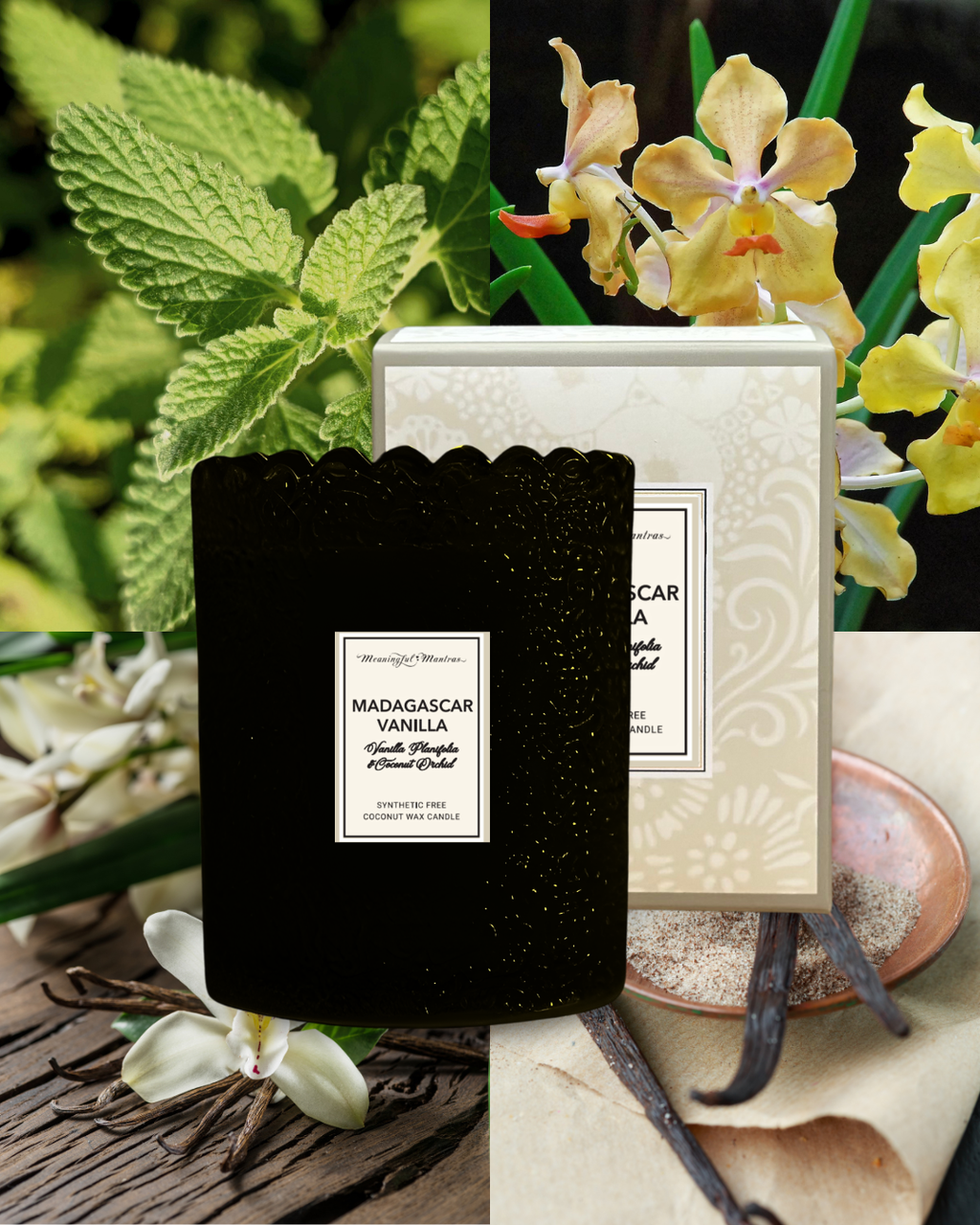 Madagascar Vanilla Natural Candle 8oz Kaia Collection
