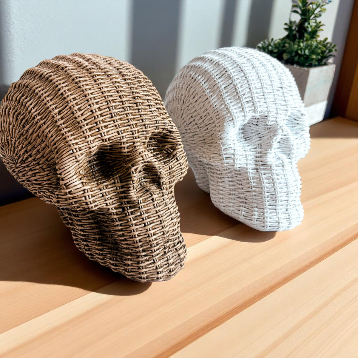 Skull Me
