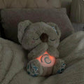 Breathing Koala Plush Toy