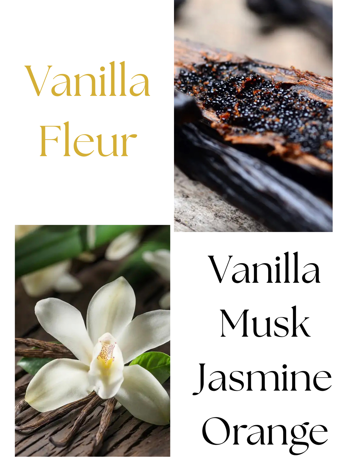 Vanilla Fleur 10oz Scented Candle- Vanilla, Citrus, Jasmine, Musk