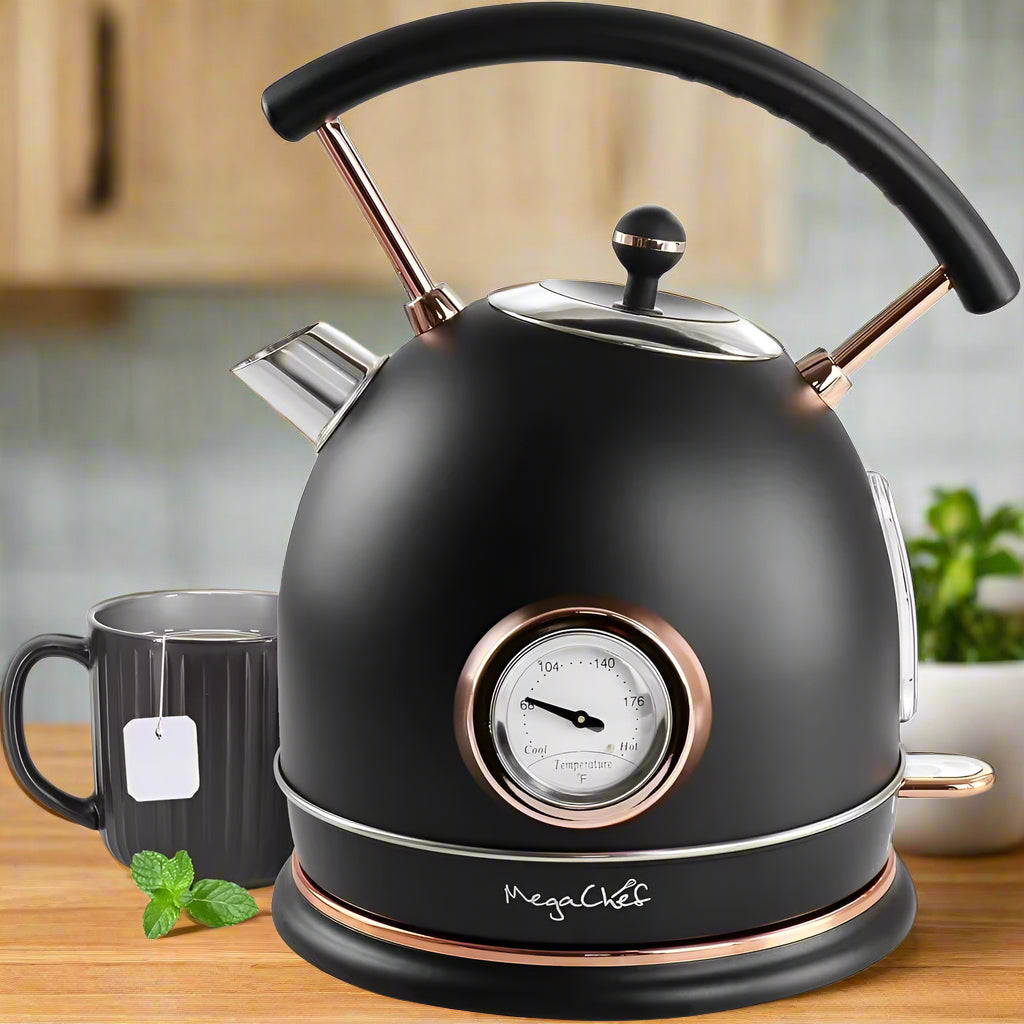 Electric Kettle with Thermometer
