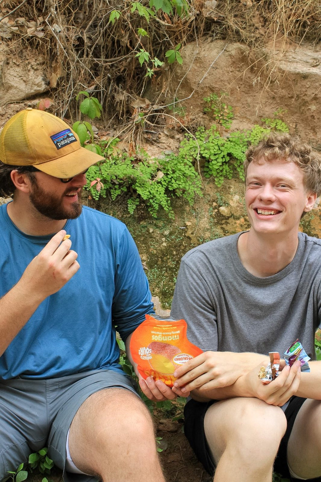 Sour Freeze-Dried Fruit